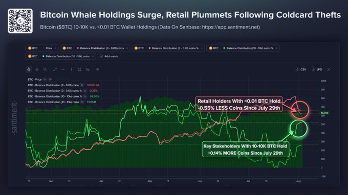 A Santiment chart titled "Bitcoin Whale Holdings Surge, Retail Plummets Following Coldcard Thefts" displays Bitcoin (BTC) 10-10K vs. <0.01 BTC wallet holdings on Sanbase, showing that key stakeholders with 10-10K BTC have added 19,610 more coins (+0.14%) since July 29th while retail holders with <0.01 BTC hold 0.55% fewer coins. The visualization supports the post's claim about a divergence between whale and retail accumulation following the Coldcard firmware entropy flaw that compromised small wallets.