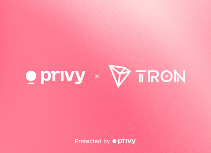 The image shows the Privy and TRON logos side by side on a pink gradient background, with "Protected by privy" text at the bottom, representing a partnership between Privy and the TRON blockchain network. This visually reinforces the post's message about Privy deepening its support for stablecoin-powered products, with the TRON logo highlighting the specific blockchain collaboration being announced.