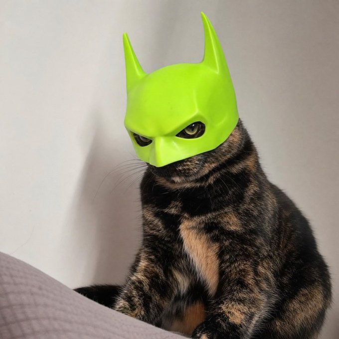 A tortoiseshell cat wearing a bright neon green superhero-style mask with pointed ears, giving it a Batgirl or feline vigilante appearance.