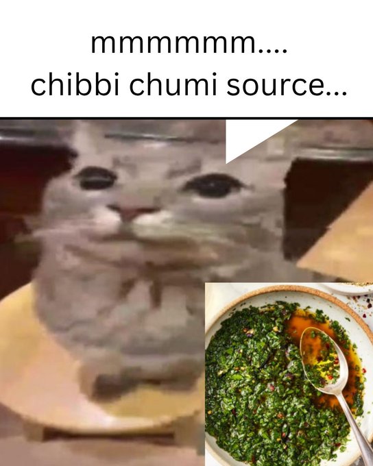 A meme featuring a wide-eyed, slightly blurry cat looking hungrily at a bowl of green chimichurri sauce, with the text 'mmmmmm.... chibbi chumi source...' above it.