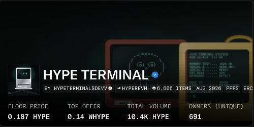 A digital display for 'HYPE TERMINAL' by HYPETERMINALDEV, showing floor price of 0.187 HYPE, top offer of 0.14 WHYPE, total volume of 10.4K HYPE, and 691 unique owners.
