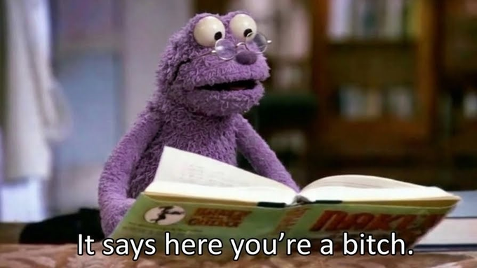 The image features a purple sock puppet sitting at a desk, reading an open book with a caption that reads "It says here you're a bitch." The text appears to be humorous or satirical, possibly referencing a meme or joke about the phrase "it says here you're a bitch."