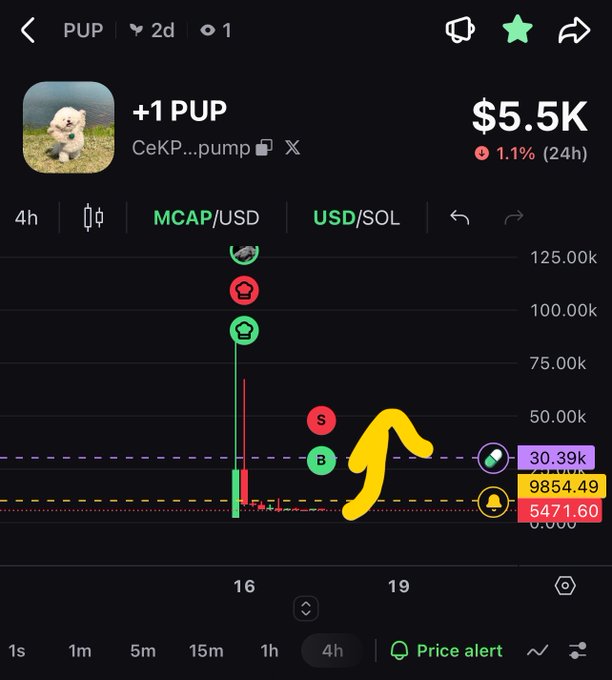 Crypto trading chart for PUP token showing a $5.5K market cap down 1.1% in 24h, with a yellow arrow drawn pointing upward.