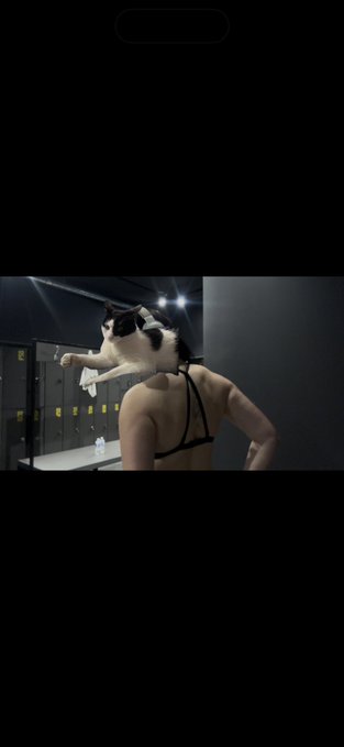 A cat with its paws outstretched rides on the shoulders of a muscular man in a gym locker room, evoking a dramatic, surreal vibe. The image's playful yet absurd tone contrasts with the "September dump" caption, possibly hinting at a "dump" or overwhelming feeling as the new season begins.