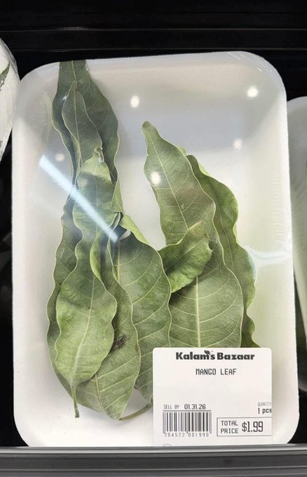 A package of dried mango leaves sold for $1.99 at Kalan's Bazaar (priced 01.31.26, 1 piece) sits in a supermarket tray, shown to humorously compare with fresh mango leaves offered in exchange for 0.01 $BTC.
