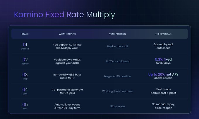A dark-themed infographic titled 'Kamino Fixed Rate Multiply' explaining a 5-stage auto-looping strategy (Deposit, Borrow, Loop, Earn, Roll) for AUTO tokens, advertising up to 20% net APY and a 5.3% fixed rate for 30 days.