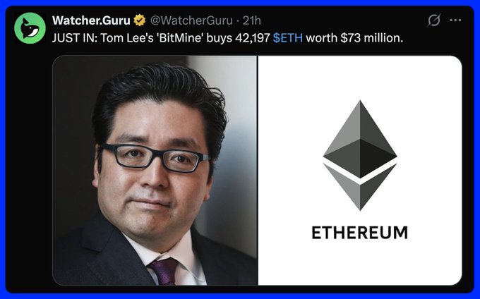 The image shows a Watcher.Guru tweet announcing that Tom Lee's "BitMine" purchased 42,197 ETH valued at $73 million, featuring a photo of Tom Lee alongside the Ethereum logo. The accompanying post highlights the contrast between Bitcoin treasury companies selling while BitMine, the largest Ethereum treasury company, continues buying—creating what the poster calls a "perfect balance" between the two largest crypto assets.