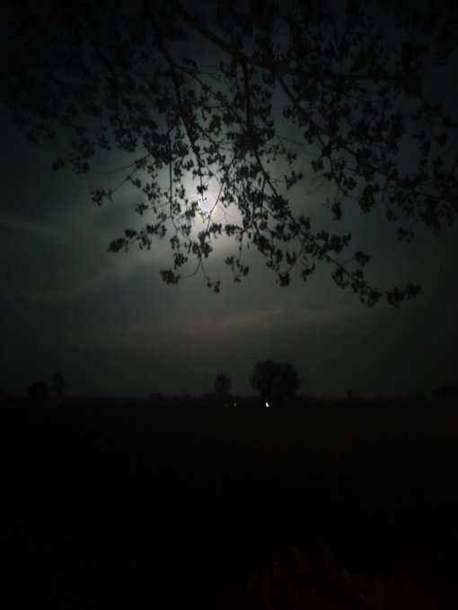 A moonlit night sky peeks through silhouetted tree branches over a dark horizon, with the bright full moon casting a soft glow across the cloudy sky, accompanying the "Good night" message.