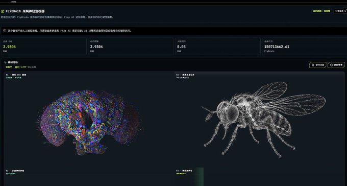 A dashboard for the FLAPBRAIN neural response monitor displays two 3D neural visualizations—a colorful brain model on the left and a detailed wireframe fruit fly on the right—alongside key metrics: Total 3.9804, Main Data 3.9384, Key Value 0.05, and Volume 150715662.61, illustrating the platform's initiative to bring a real fruit fly nervous system experiment onto the Flap AI blockchain.