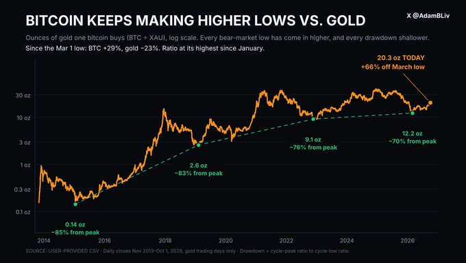 A financial chart titled 'BITCOIN KEEPS MAKING HIGHER LOWS VS. GOLD' by Adam Back (@AdamBlv), illustrating the BTC/XAU ratio on a logarithmic scale from 2014 to 2026, showing an upward trend from 0.14 oz to 20.3 oz.