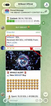 A screenshot from a Telegram group called "MrBeast Official" shows a $BEAST community contest at 56.14/150 SOL (37.4%), with a transaction highlighted in red indicating a whale purchased 804 SOL (~$67,490) worth of the $BEAST token, alongside visible alerts for whale buys and total spent of 15.33 SOL (~$1288.20), supporting the post's claim of a large whale purchase following MrBeast's presale announcement.