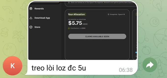 A smartphone screen displays a snapshot-style photo sharing app interface showing a "Your Allocation" of $5.75 USDC from Snapshot – Epoch 19, with a "CLAIMS AVAILABLE SOON" button, alongside a chat bubble reading "treo lời lợz d c 5u" timestamped 06:38. The caption fits the post's sentiment of disappointment toward Grass airdrops, referencing a modest $5.75 USDC reward that aligns with the user's complaint about underwhelming airdrop payouts.