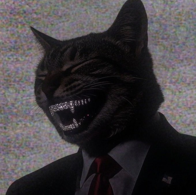 A serious-looking tabby cat wearing a suit and tie is shown in profile against TV static, with "CATE" displayed in sparkling rhinestones across its mouth. The image visually represents the "$CATE TO BILLION" post, personifying the cat as a confident figure ready to take the cryptocurrency ticker to massive gains.