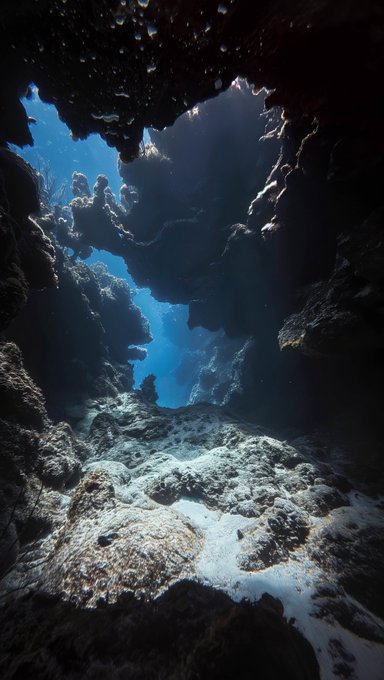 An underwater view from inside a cave or crevice looking out toward bright blue water and coral formations.