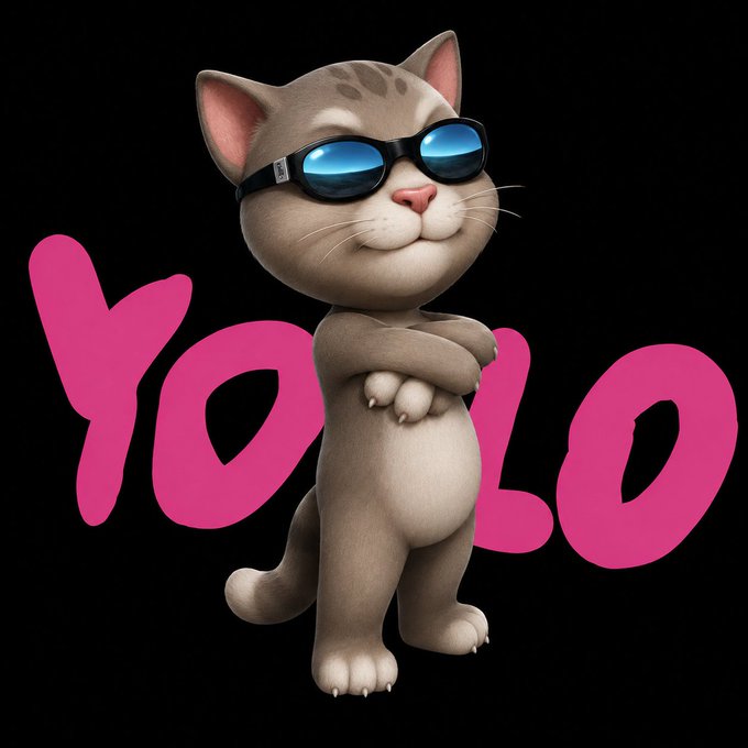 A 3D-rendered cartoon cat wearing blue reflective sunglasses with crossed arms, standing in front of the word 'YOLO' in pink text on a black background.