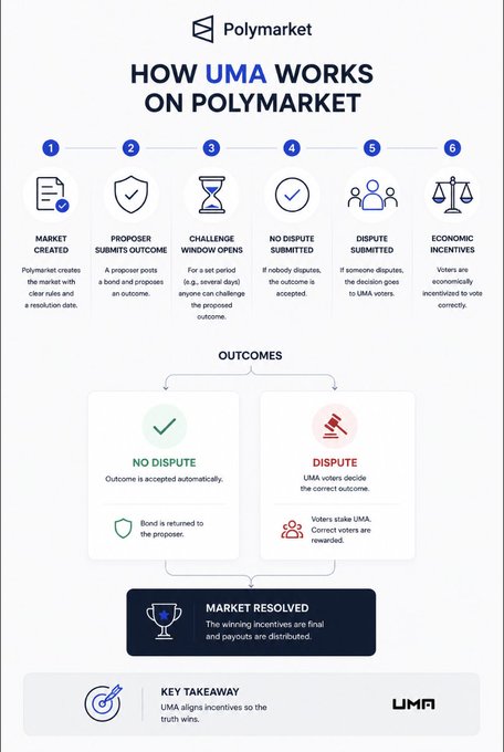 An infographic titled 'How UMA Works on Polymarket' outlining the 6-step resolution process including market creation, dispute submission, and economic incentives.