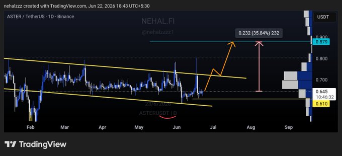 The image shows a chart with a blue line that goes up and down, indicating changes in stock prices over time. The chart has a title "NhalFi" at the top of the screen, which suggests that this is an analysis of NhalFi's performance. The chart also includes a date range from May 1st to August 31st, showing the fluctuations in the stock price during those months. The image is accompanied by a caption that reads: "ASTER". This could be a reference to the AstraZeneca vaccine or another relevant event related to NhalFi's stock performance.
