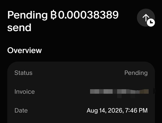 A screenshot of a pending Bitcoin transaction showing "Pending ₿0.000038389 send" with an overview showing status as Pending and date Aug 14, 2026, 7:46 PM.