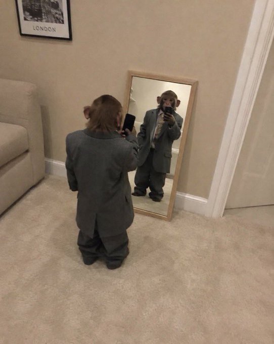 A young chimpanzee wearing an oversized gray suit stands in a room taking a mirror selfie with a smartphone, with a 'LONDON' framed picture on the wall.