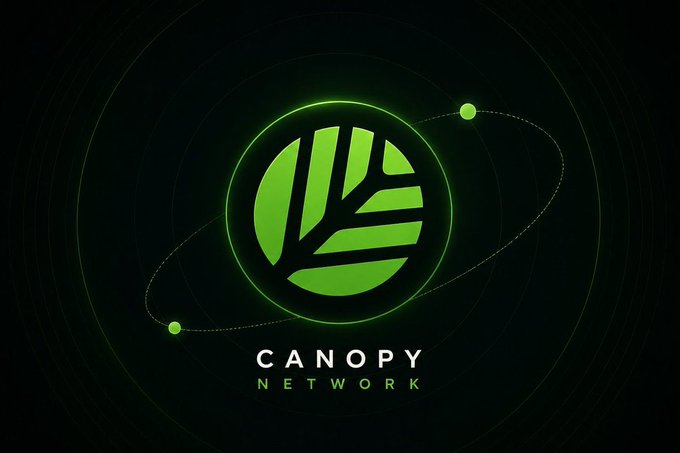 The image features a logo for a company called Canopy Network. The logo consists of a green circle containing a leaf inside, surrounded by two green lines radiating outwards from the center. Below the logo, there is text that reads "Canopy Network". This text seems to be related to the company's name or mission statement.