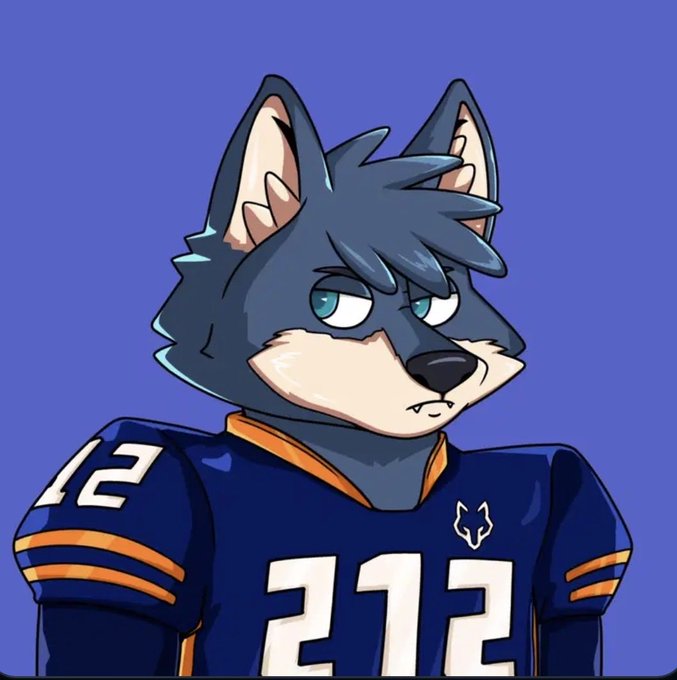 An anime-style illustration of an anthropomorphic wolf or husky character with a serious expression, wearing a blue and orange football jersey with the number '212'.