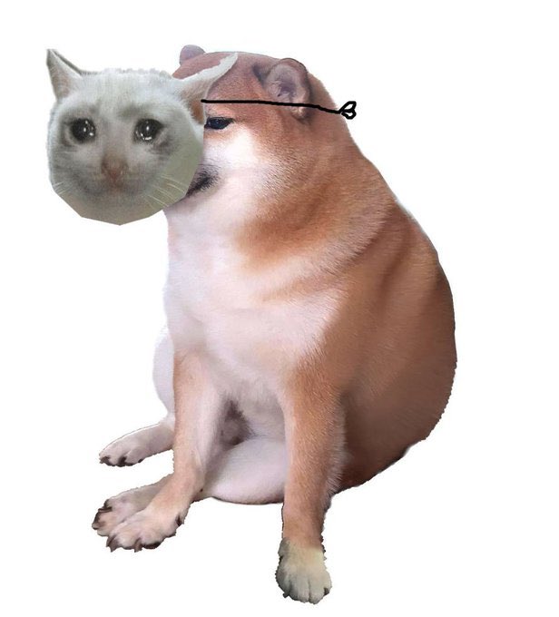 A humorous edited image showing a Shiba Inu dog's body with a white cat's face superimposed where its head should be, connected by a thin string.