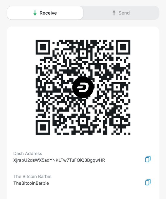 A cryptocurrency wallet interface showing a QR code with the Dash logo for receiving payments, labeled with the address 'XjrabU2dsWX5adYNKLTw7TuFQiQ3BgqwHR' and account name 'The Bitcoin Barbie' / 'TheBitcoinBarbie'.