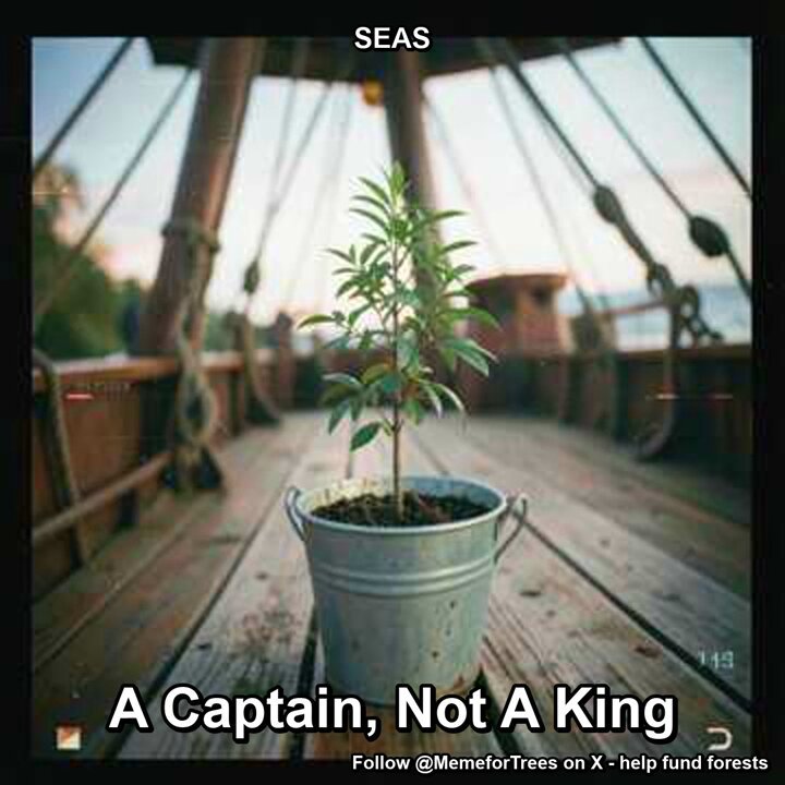 None