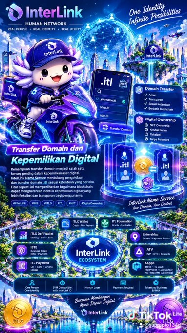 Promotional poster for InterLink Human Network, a digital identity and NFT domain ecosystem. Features the tagline 'One Identity, Infinite Possibilities' with a detailed diagram showcasing services like Domain Transfer, NFT Ownership, ITLX DeFi Wallet, and InterLink Ecosystem.