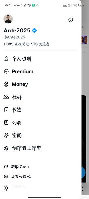 A screenshot of a Twitter/X profile menu for a verified user named "Ante2025" (@Ante2025) displayed in Chinese, showing 973 followers, 1,089 following, and menu options including Premium, Money, and Profile.