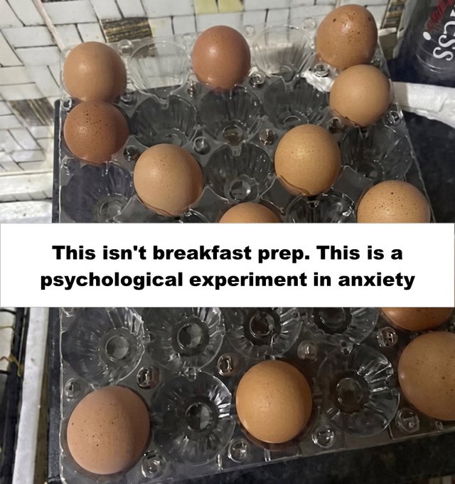 The image shows a dozen eggs, possibly brown or white, sitting inside clear plastic trays. The eggs are arranged neatly within the trays, with some overlapping each other. The background of the image features a kitchen countertop area where various items can be seen, such as cups and bottles. A text overlay on this scene reads: "This isn't breakfast prep. This is a psychological experiment in anxiety".
