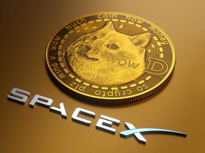 urn of gold coins with a dogecoin logo and the word "SPACEX" in blue text on a light brown background.