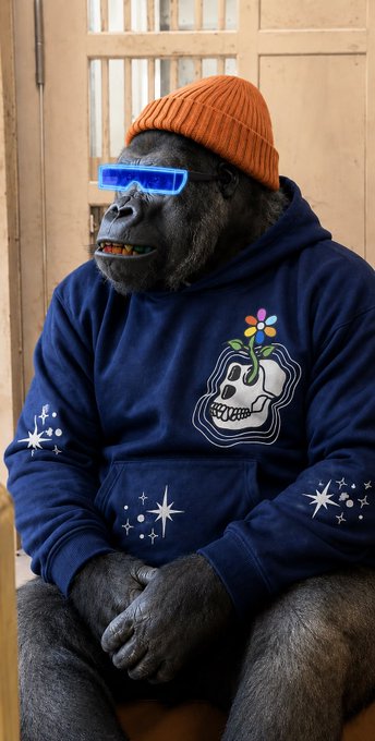 The image features a gorilla wearing an orange beanie, blue sweatshirt with a flower design, and glasses sitting down. The gorilla has a flower on its head that appears to be a skull. The background of the image shows a door or window, suggesting that this scene might take place in a room or building. 

The post reads "Art Culture Community Bored Ape Yacht Club", which implies that the gorilla is part of an art-related event or gathering. This could be a themed party, an exhibition, or any other artistic occasion where people come together to appreciate and discuss various forms of art. The gorilla's unique attire and appearance make it stand out as a piece of art within this context.