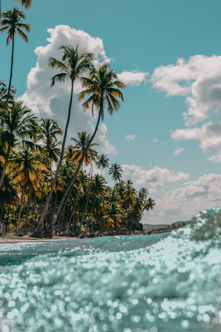 A tropical beach scene with tall palm trees, turquoise water splashing in the foreground, and a blue sky with white clouds.