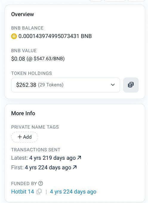 The image shows a wallet overview displaying a BNB balance of 0.000143974995073431 BNB (~$0.08), token holdings totaling $262.38 across 29 tokens, and transaction history dating back 4 years 224 days, funded by Hotbit 14 — illustrating the post about losing access to this old wallet that contains $262 worth of BSC meme tokens.