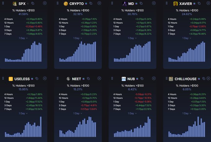 A dashboard showing holder statistics and performance percentages over time for various meme coins including SPX, CRYPTO, MD, XAVIER, USELESS, NEET, NUB, and CHILLHOUSE.