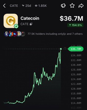A Dexscreener chart for CATE (Catecoin) shows a sharp price surge, with the token up 154.5% in 24 hours and reaching a market cap of $36.7M, aligning with the post highlighting its 155% rally.