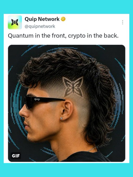 A social media post from Quip Network (@quipnetwork) with the caption 'Quantum in the front, crypto in the back' showing a man with a mullet haircut, sunglasses, and a butterfly tattoo behind his ear.