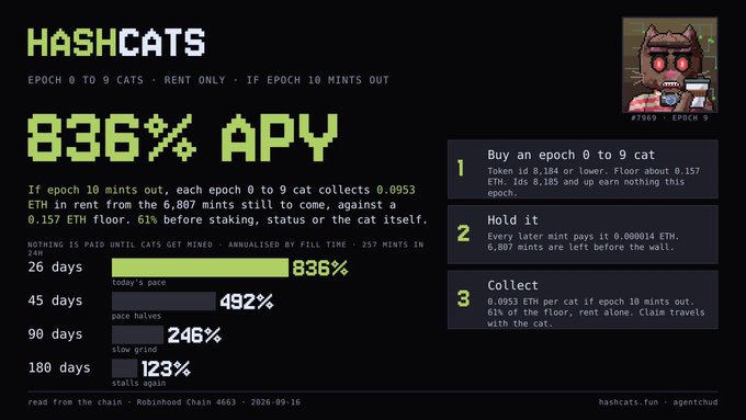An informational graphic for HASHCATS detailing 836% APY, explaining how to buy epoch 0 to 9 cats, hold them, and collect ETH if epoch 10 mints out, with a cartoon cat in the top right corner.