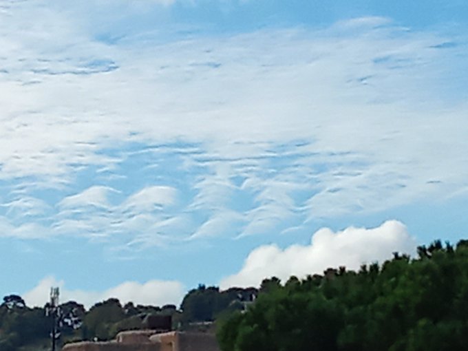 A photograph of a blue sky filled with distinctive undulating wave-like cloud formations (asperitas or similar cloud pattern) above a tree line.