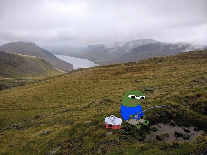 A cartoon Pepe the Frog character superimposed onto a scenic landscape, fishing in a puddle on a grassy hillside overlooking a lake and cloudy mountains.