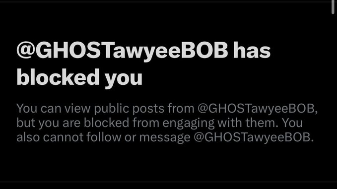 A screenshot shows a notification from Twitter/X stating '@GHOSTawyeeBOB has blocked you', indicating the user can view public posts but cannot engage, follow, or message the account.