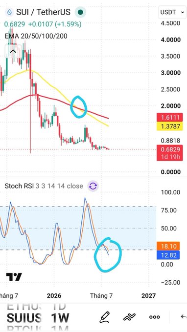 A TradingView chart for SUI/TetherUS showing EMA lines and a Stochastic RSI indicator, with light blue circles highlighting a crossover point and an oversold signal.