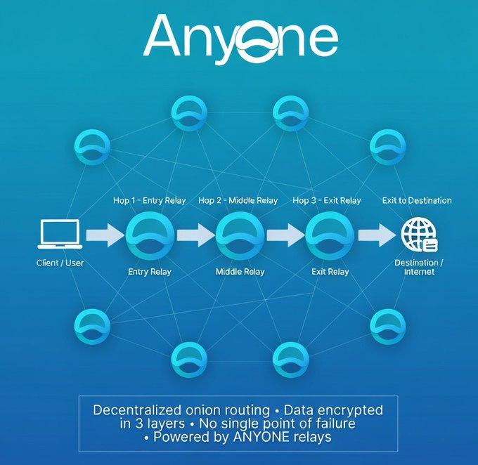 An infographic explaining 'Anyone' decentralized onion routing with three relay hops (Entry, Middle, Exit) connecting a user to the internet.