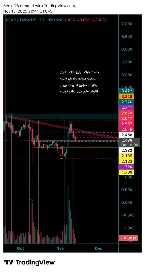 A TradingView chart displays the NEAR/TetherUS (NEARUSDT) daily price on Binance at 2.436 USDT, down 3.91% as of November 13, 2025, featuring Arabic technical analysis commentary and key resistance/support levels between approximately 1.708 and 3.422. The chart's bearish daily candle reflects the broader post sentiment, which notes that while total market cap, NEAR, Bitcoin, and gold all rallied, the trader hopes Twitter (X) also rises.