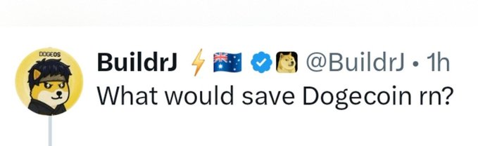 A tweet from BuildrJ (@BuildrJ) asking 'What would save Dogecoin rn?' with various emoji in the display name.