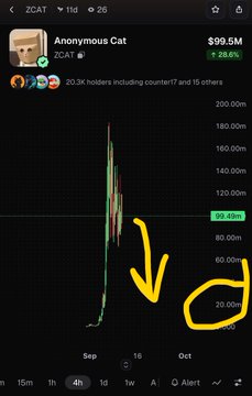 A cryptocurrency chart for 'Anonymous Cat' (ticker CCAT) showing a sharp price spike followed by a steep decline, with a hand-drawn yellow arrow pointing downward toward October indicating a predicted crash.