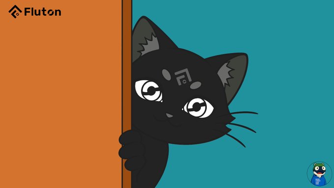 A cartoon illustration of a black cat peeking around an orange edge against a teal background, with the 'Fluton' logo in the top-left corner and a small mascot in the bottom-right.