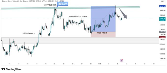 A TradingView 4-hour candlestick chart of BNB/USDT shows price reaching a previous high of 805.74 before entering a consolidation phase and pulling back toward the 781.83-796.90 zone, now approaching key support at 753.30-755.72. The chart visually confirms the post's analysis by highlighting a "bullish beauty" rally, a consolidation phase, and a "nice move" followed by a rejection at the prior high.