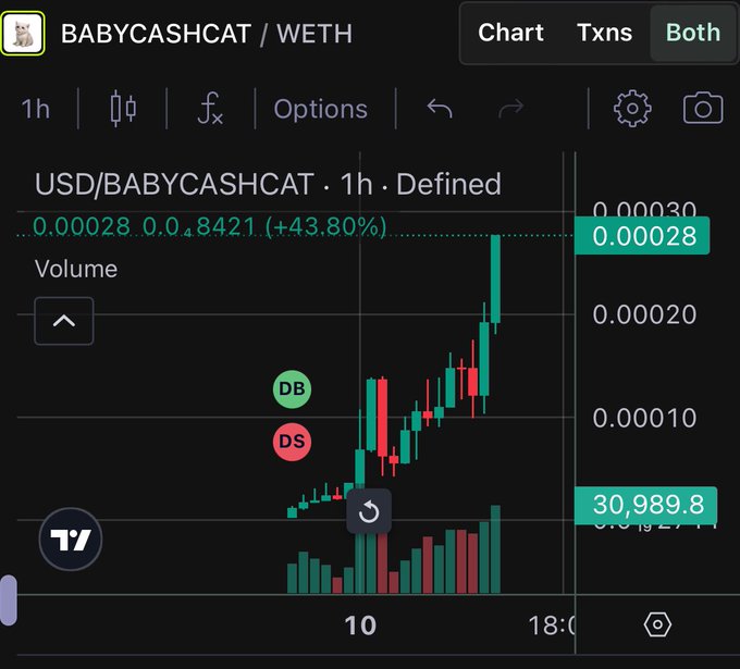 A TradingView chart on the BABYCASHCAT / WETH pair showing a +43.80% gain with candlesticks trending sharply upward and volume bars at the bottom.